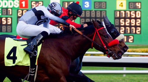 Learn the bets before wagering for horse racing